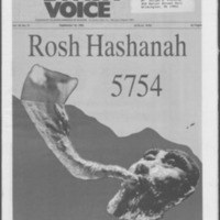 Jewish Voice, volume 27